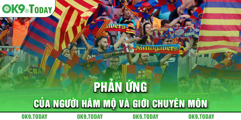 Phản ứng của người hâm mộ và giới chuyên môn